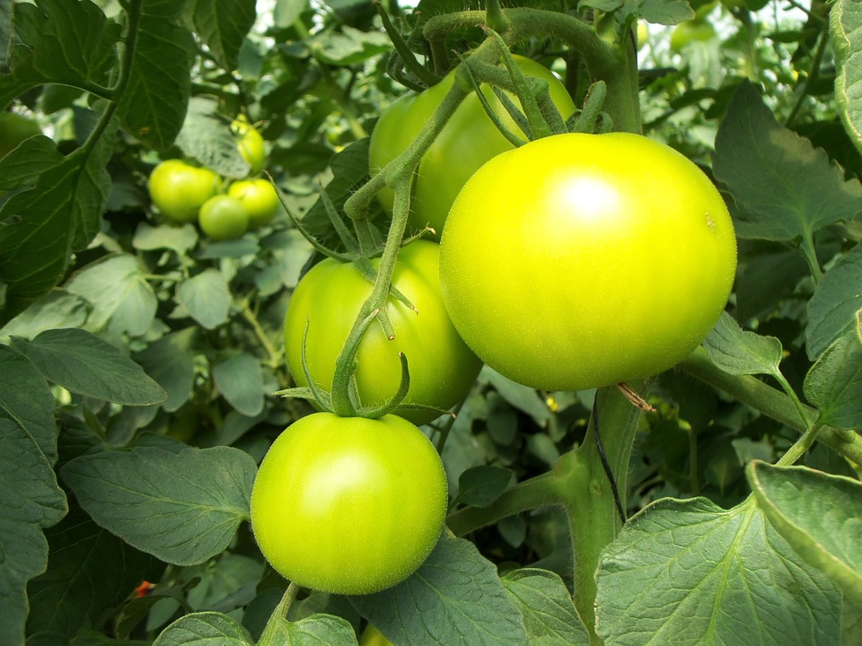 La campagne agricole 2017-2018 s\'annonce studieuse