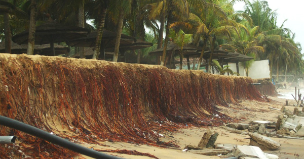 Erosion côtière au Togo. Crédit: DR