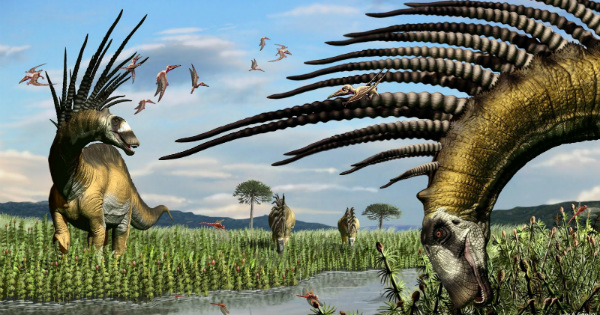 Bajadasaurus pronuspinax. Crédit: DR