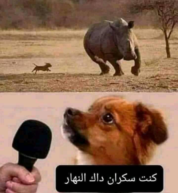 No Image Caption