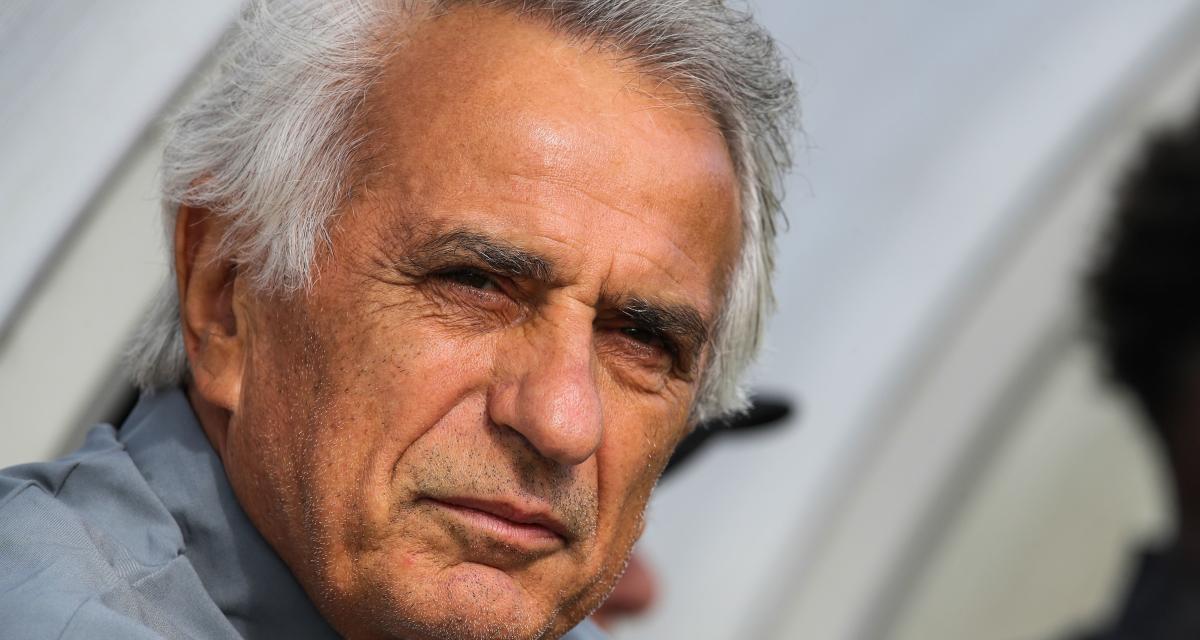 Vahid Halilhodzic,
CREDIT DR 