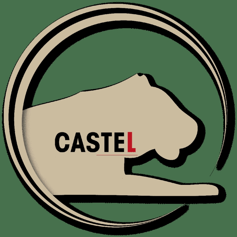 DE LOURDES CHARGES PÈSENT SUR CASTELn