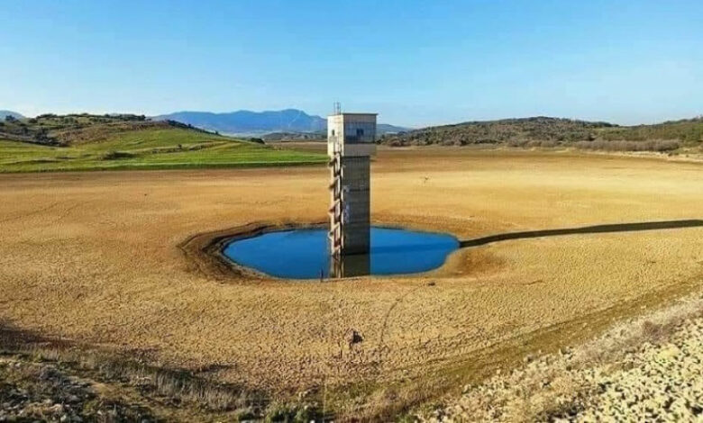 No Image Caption