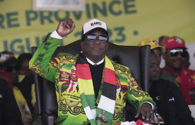 Emmerson Mnangagwa 