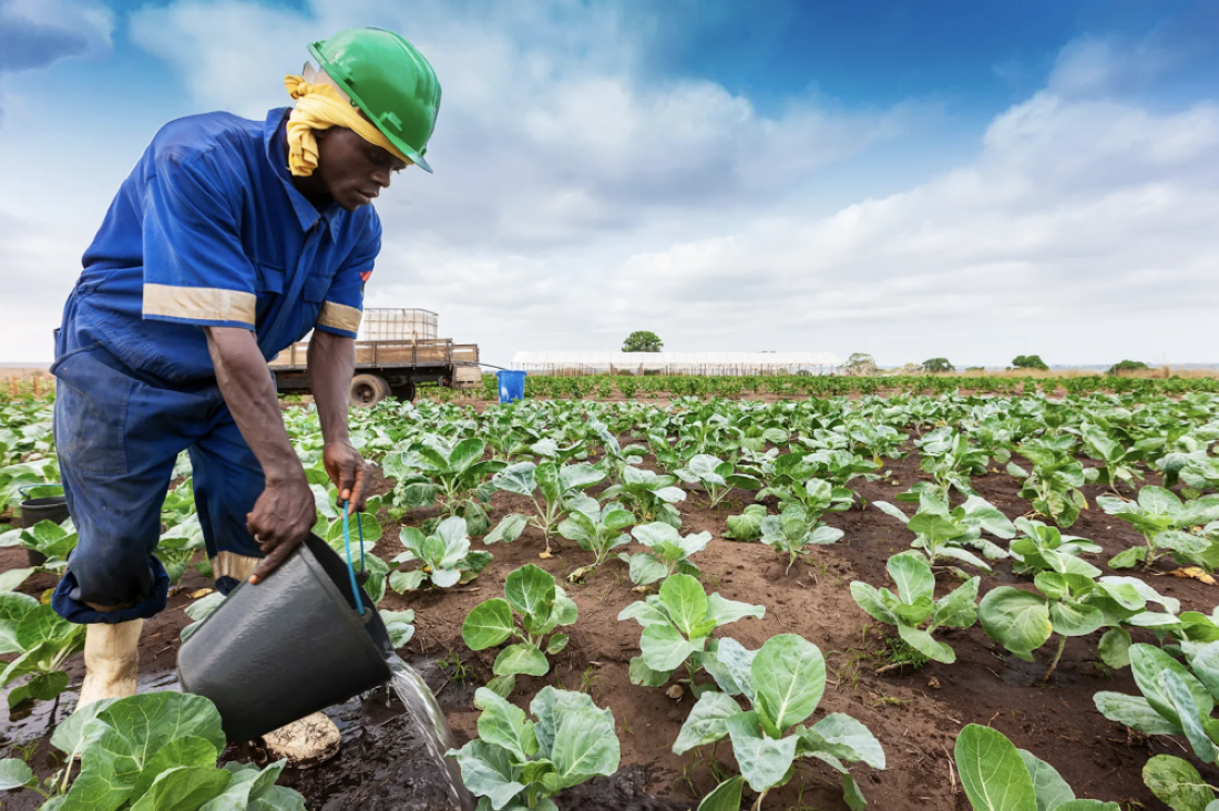 L'Angola mise sur l'agriculture