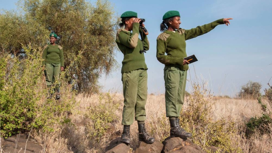 Team Lioness - Kenya