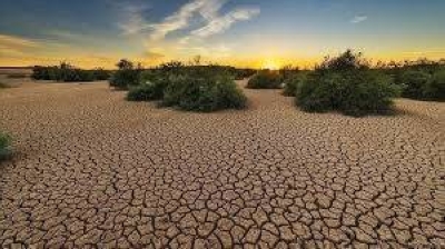 L’Afrique face au changement climatique