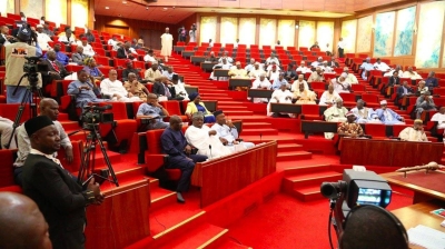 Nigeria-Senat