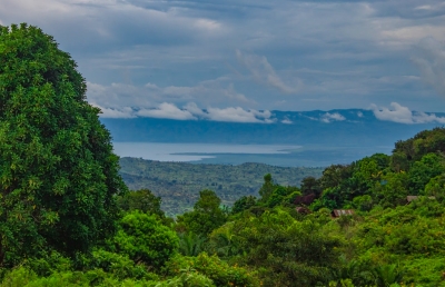 No Image Caption