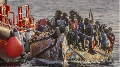 migration