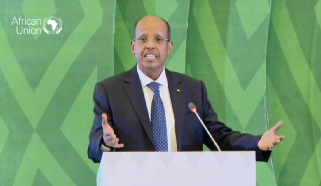 Le nouveau président de la Commission de l'UA, Ali Mahmoud Youssef
