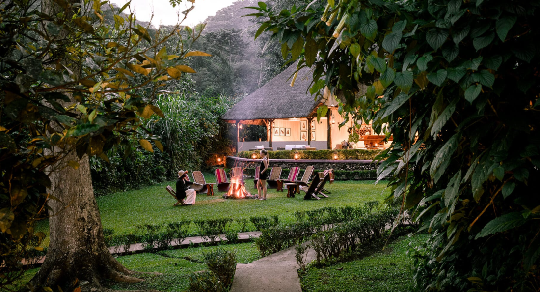 Le Gorilla Forest Lodge est situé haut dans la forêt  de Bwindi 
