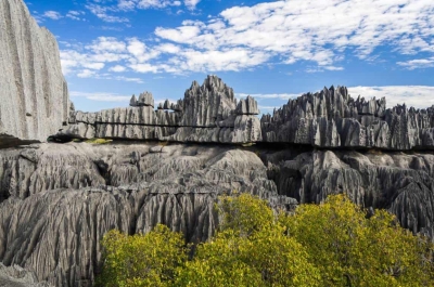 Une vue des forêts sèches de l’Andrefana