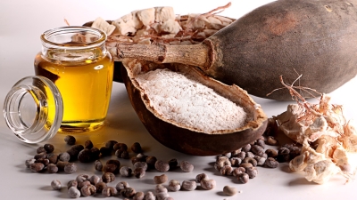 L’huile de baobab