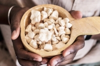 Le Baobab 